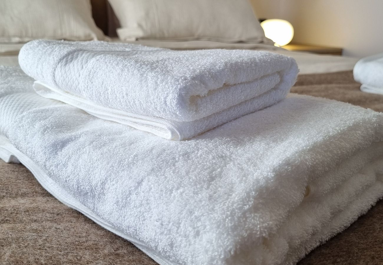 Apartamento en San Martin de los Andes - Haus Plaza 2C - Nórdica