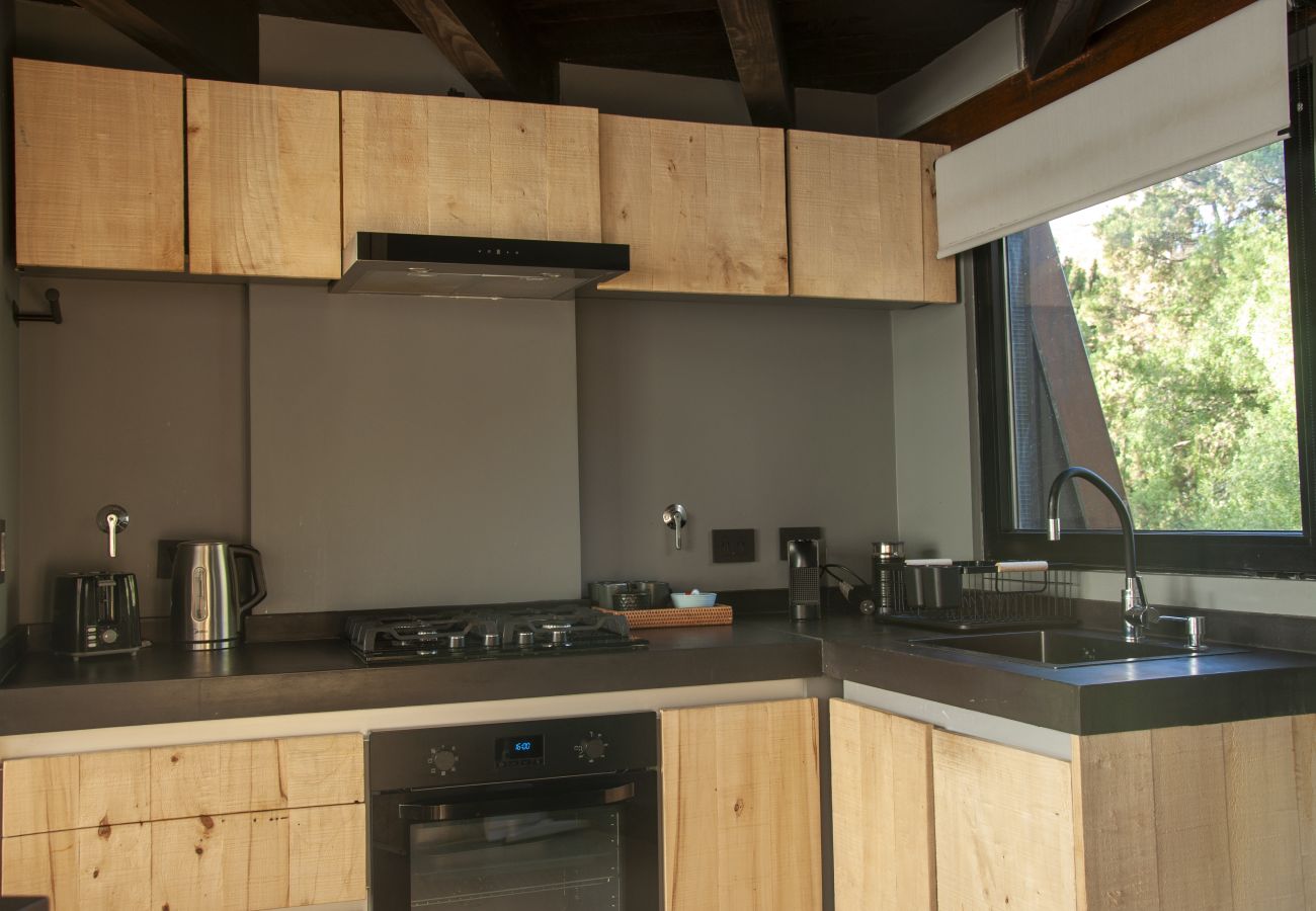 Apartment in San Martin de los Andes - Haus del Arroyo 2B - Nórdica