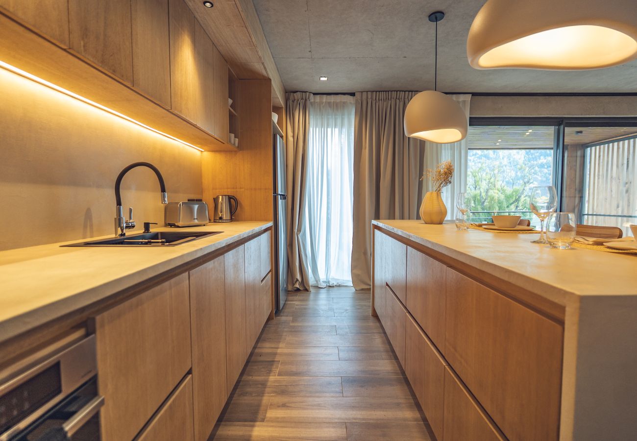 Apartment in San Martin de los Andes - Haus Plaza 2C - Nórdica