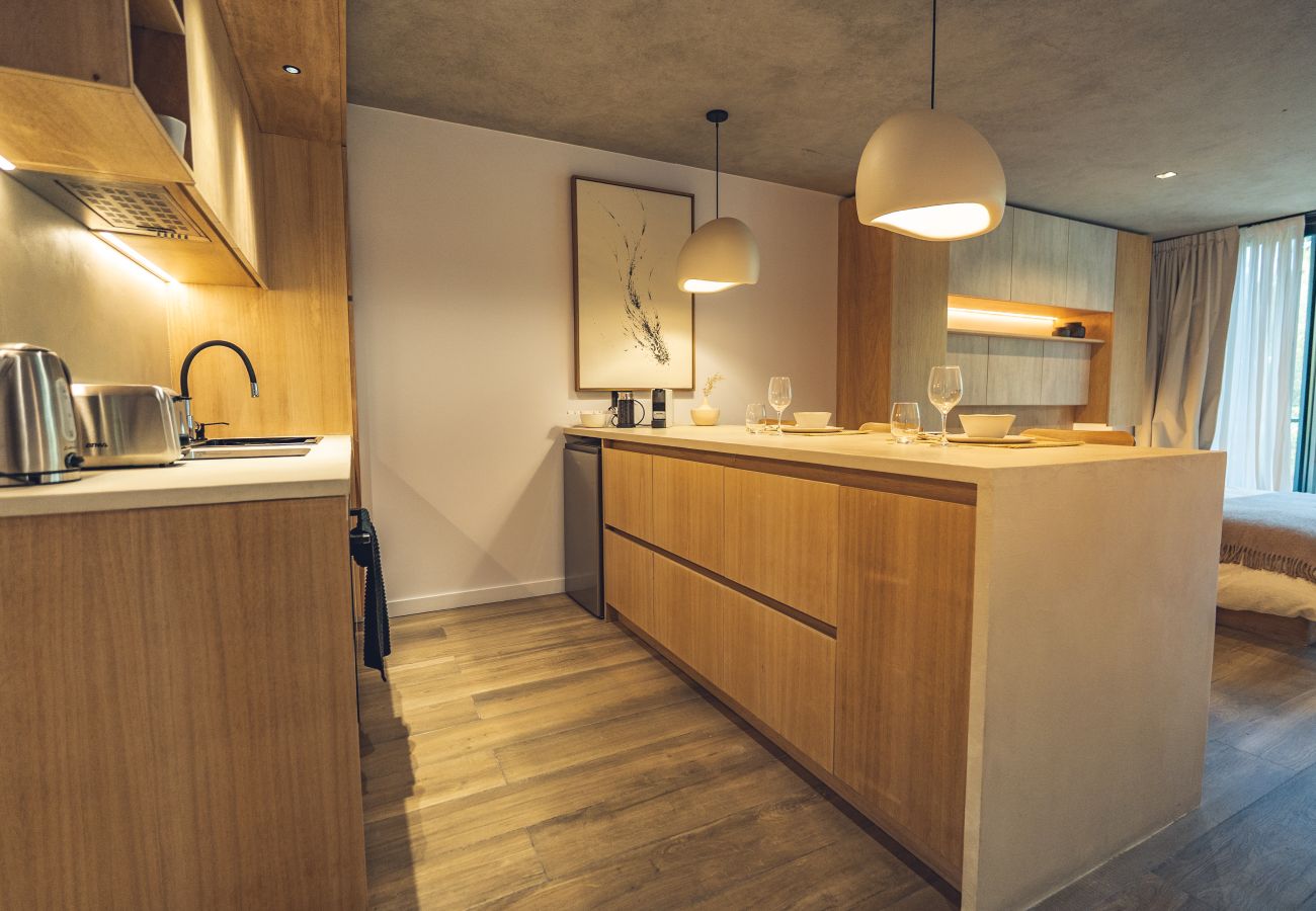 Apartment in San Martin de los Andes - Haus Plaza 2B - Nórdica