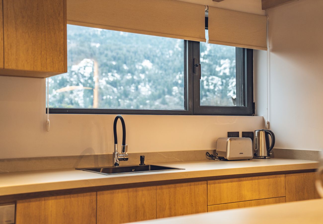Apartment in San Martin de los Andes - Haus Plaza 3A - Nórdica