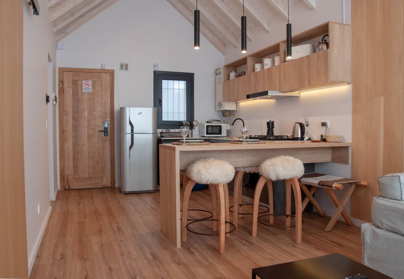 Apartamento em San Martin de los Andes - Haus del Valle 2A - Nordica